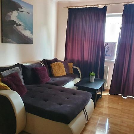 Theodor Residence アルバ・ユリア 部屋 写真